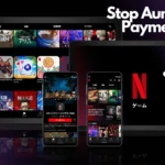 How to Stop Automatic Payment in Netflix?